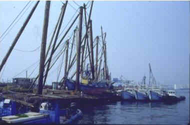 一艘艘停泊的漁船,是紅毛港居民賴以維生的工具